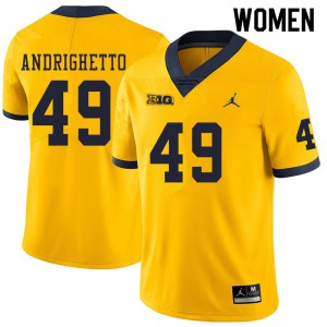 #49 Lucas Andrighetto Michigan Wolverines Jordan Brand Women's Stitched Jerseys Yellow
