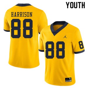 #88 Mathew Harrison Wolverines Jordan Brand Youth Player Jerseys Yellow
