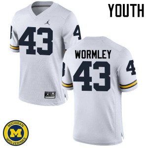 #43 Chris Wormley Michigan Wolverines Jordan Brand Youth Stitch Jersey White